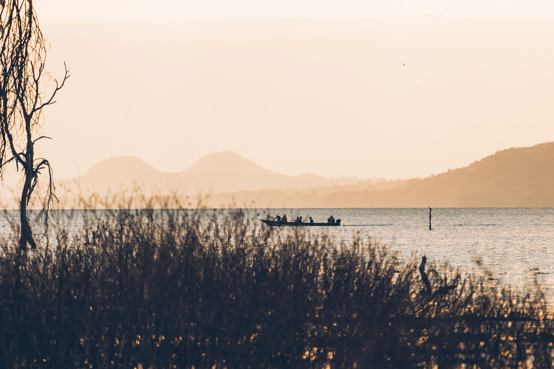 Lake Naivasha, Kenya