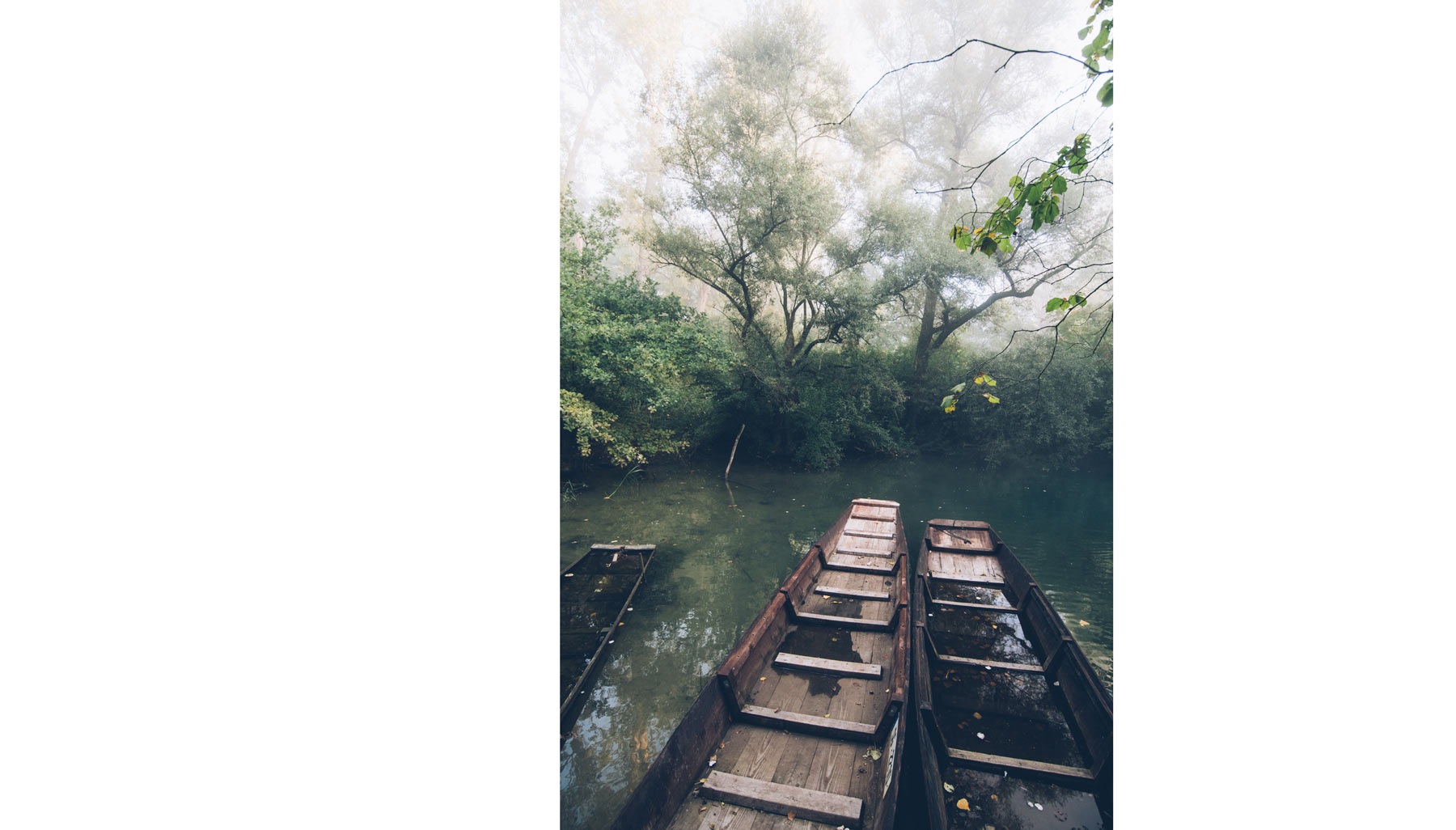 Barque sur l'ile de Rhinau, Alsace