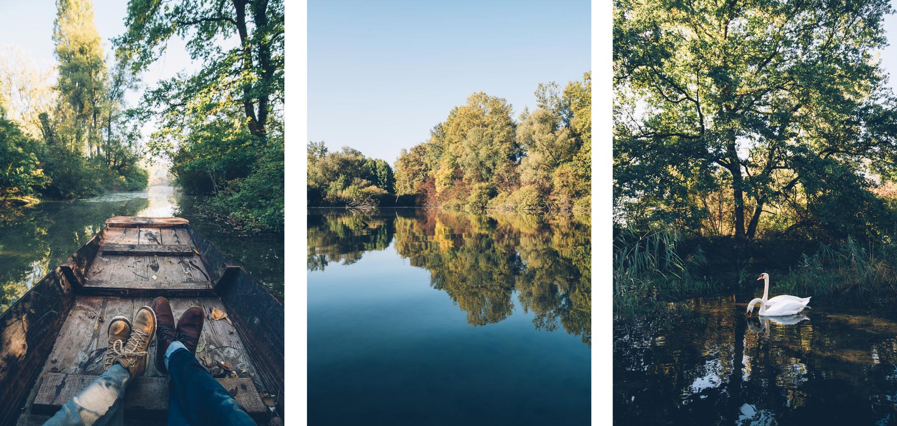 Balade nature près de Strasbourg à Rhinau