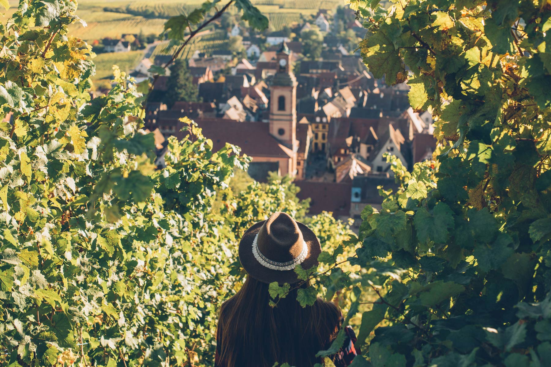 Riquewihr, Alsace