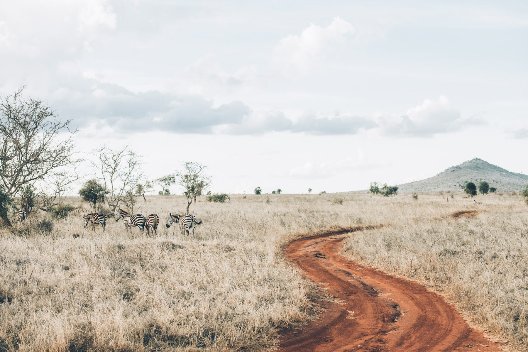 Tsavo West, Kenya