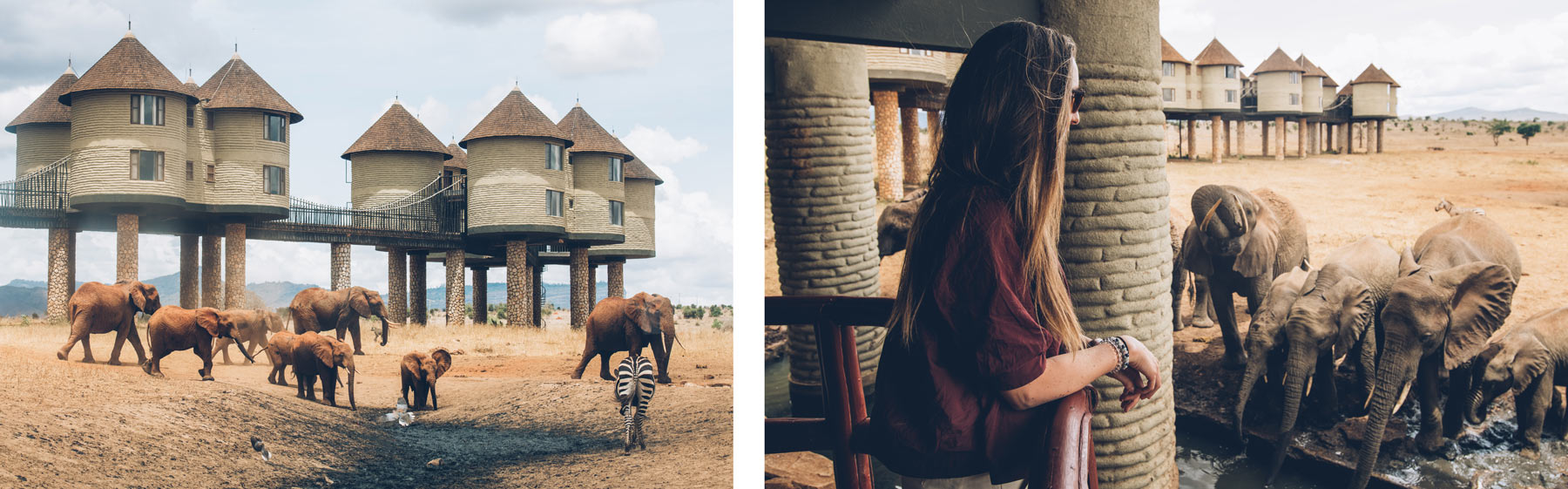 Hotel Salt Lick, Kenya