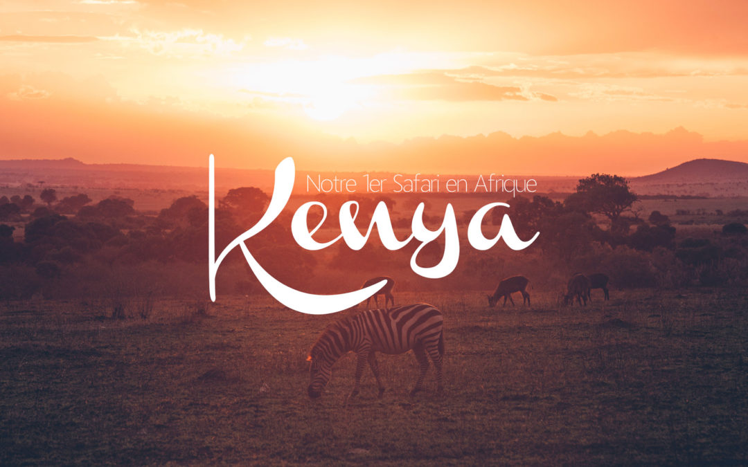 Kenya Notre Premier Safari En Afrique