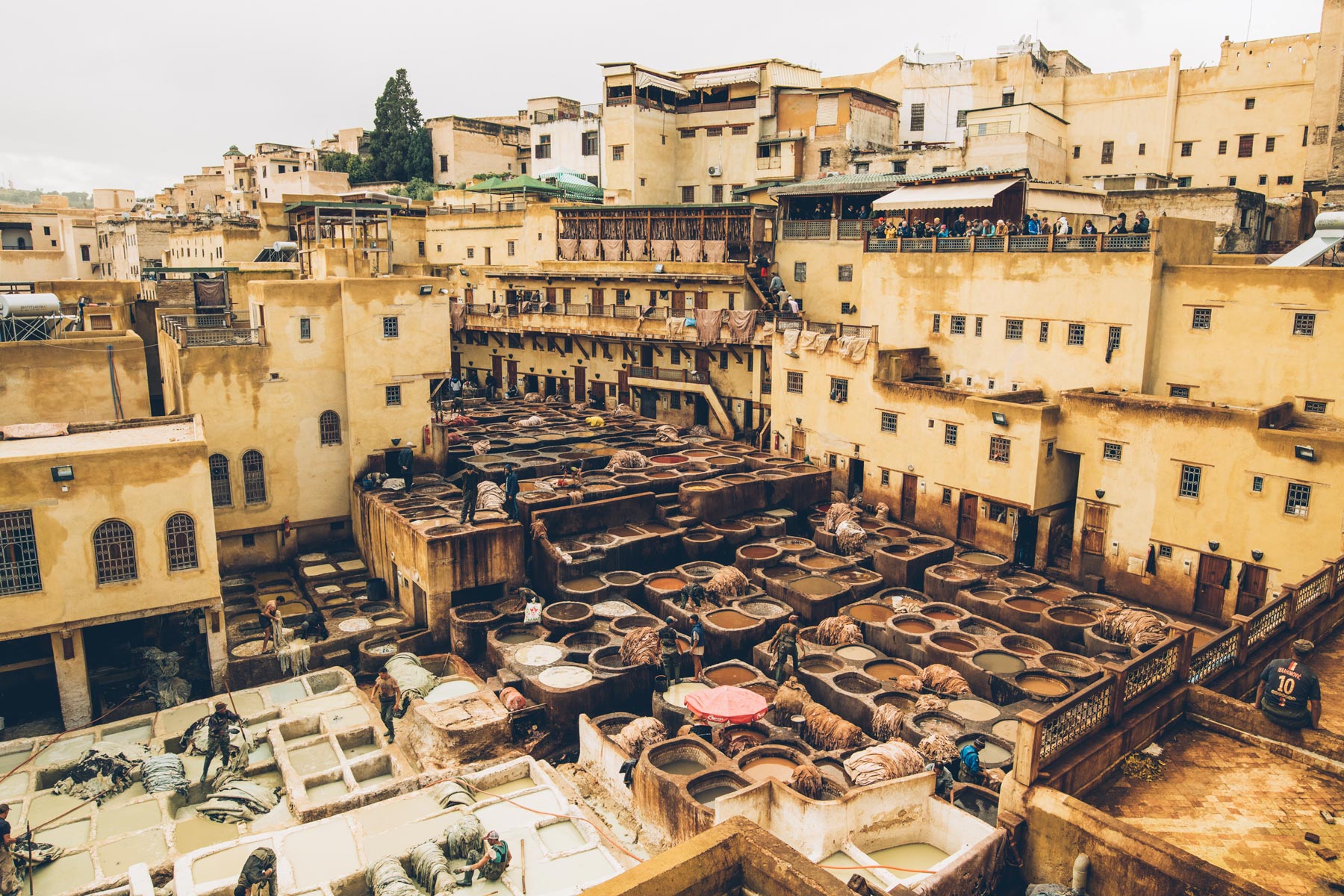 Les Tanneries de Fès, Maroc