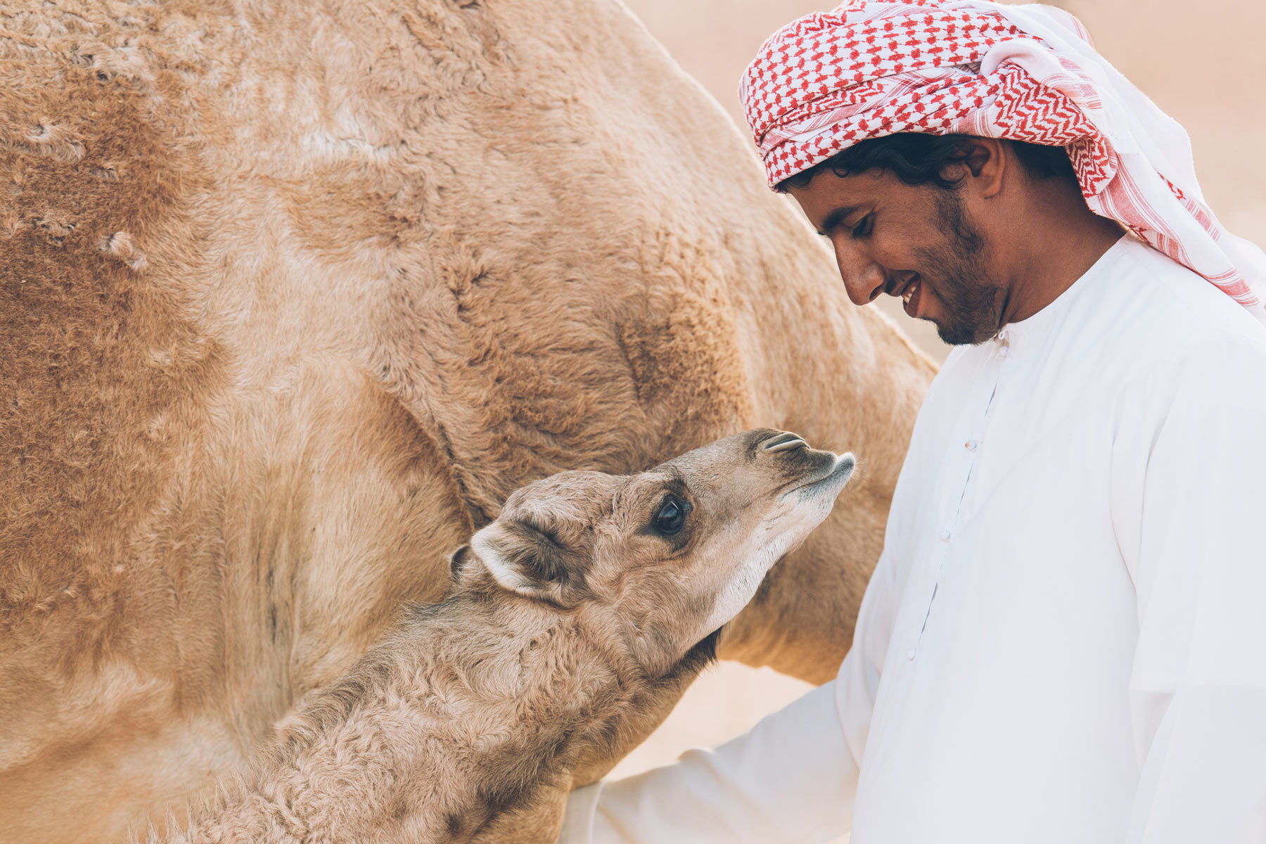 Nomadic Camp, Oman