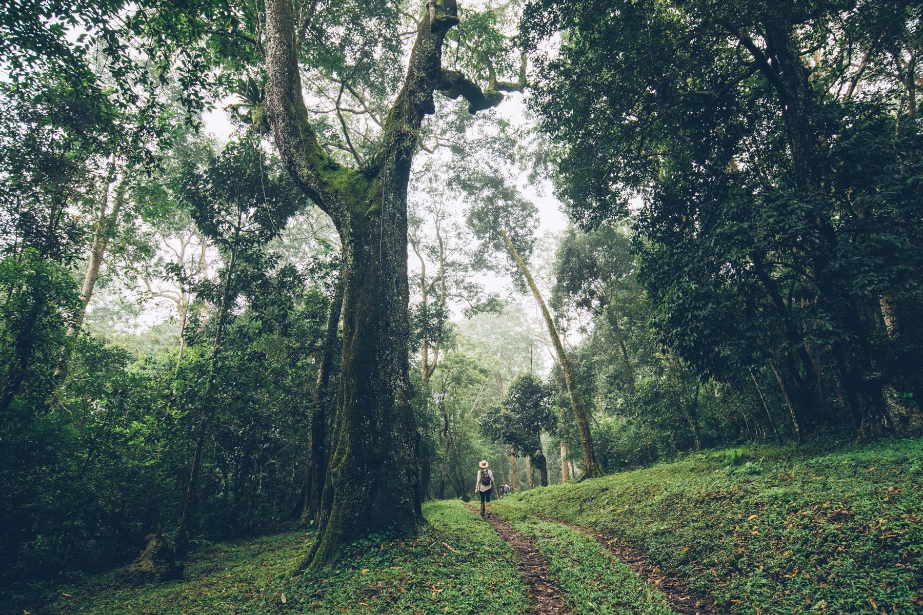 Parc National de Peyriar, Inde