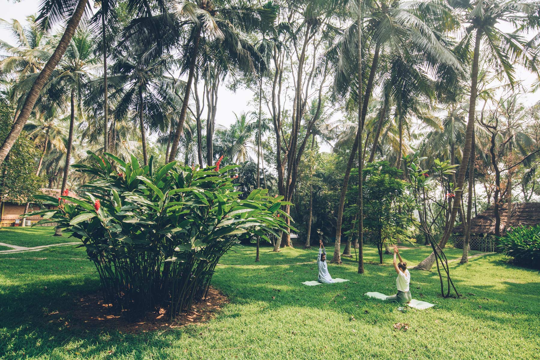 Stage et Cours de Yoga en Inde du Sud, Kerala