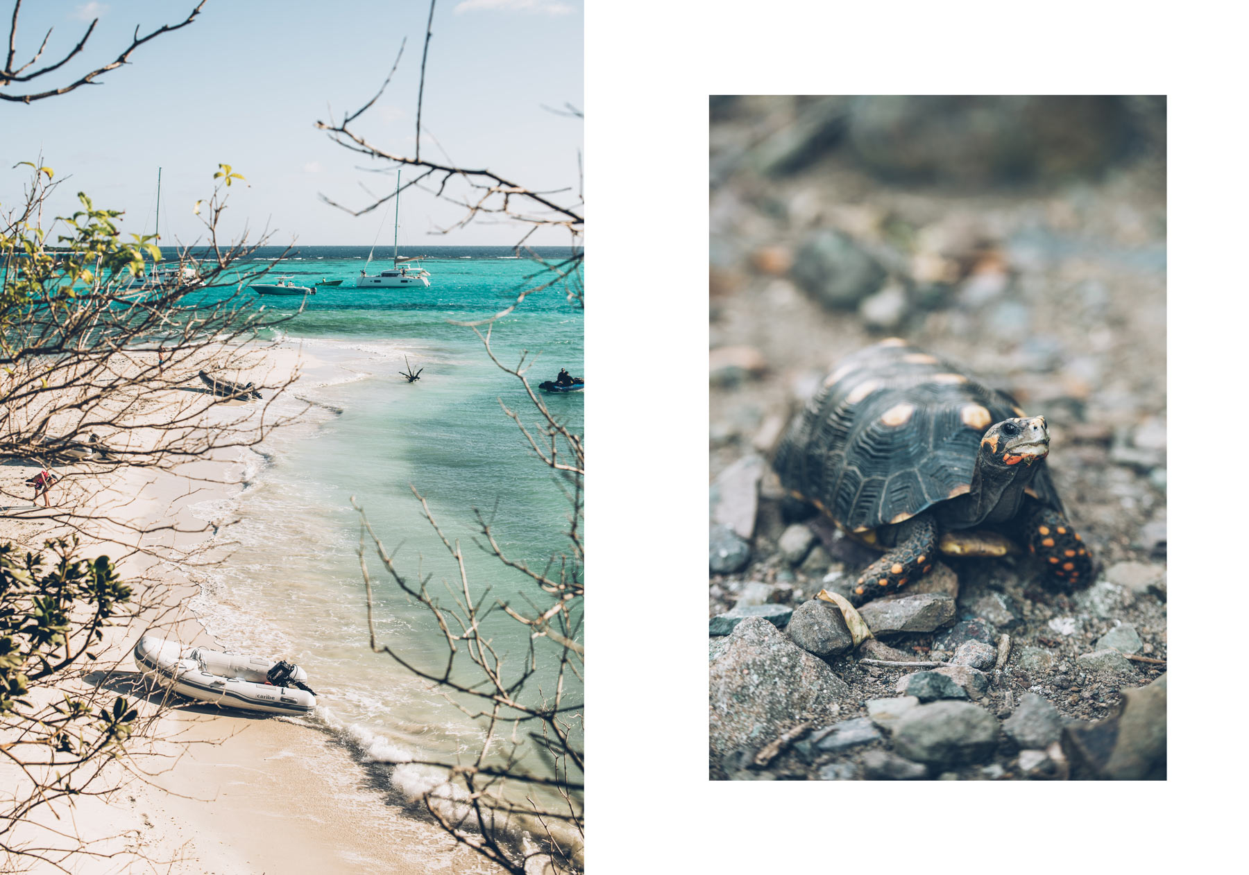 Caraibes croisière