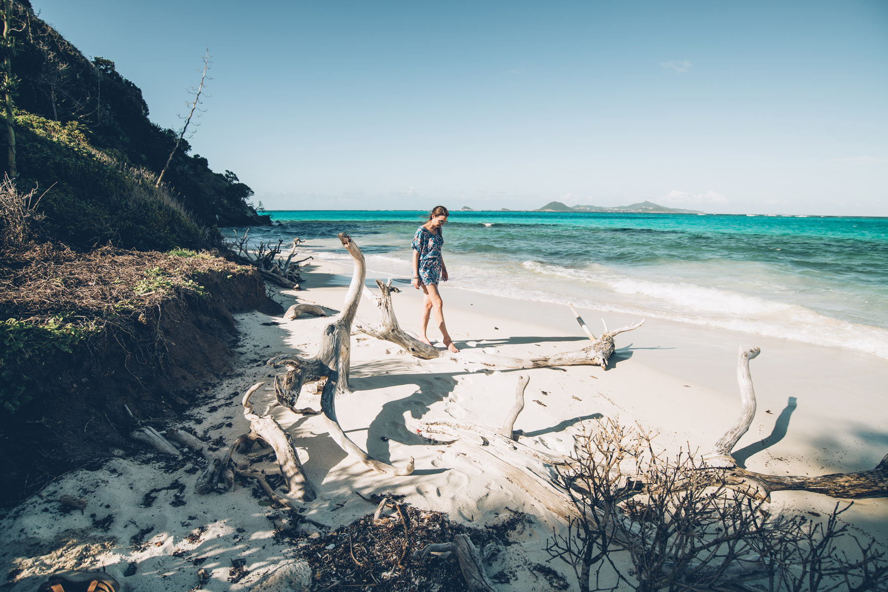 Tobago Cays