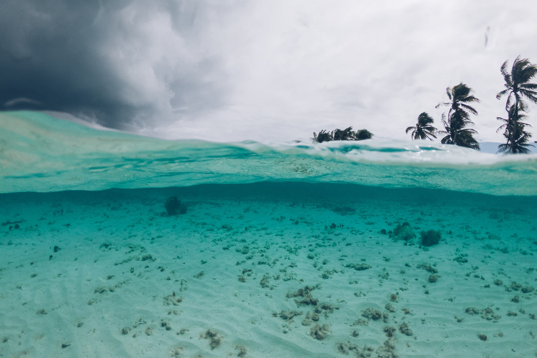 Ile de Johnny Depp, Pirates des Caraibes