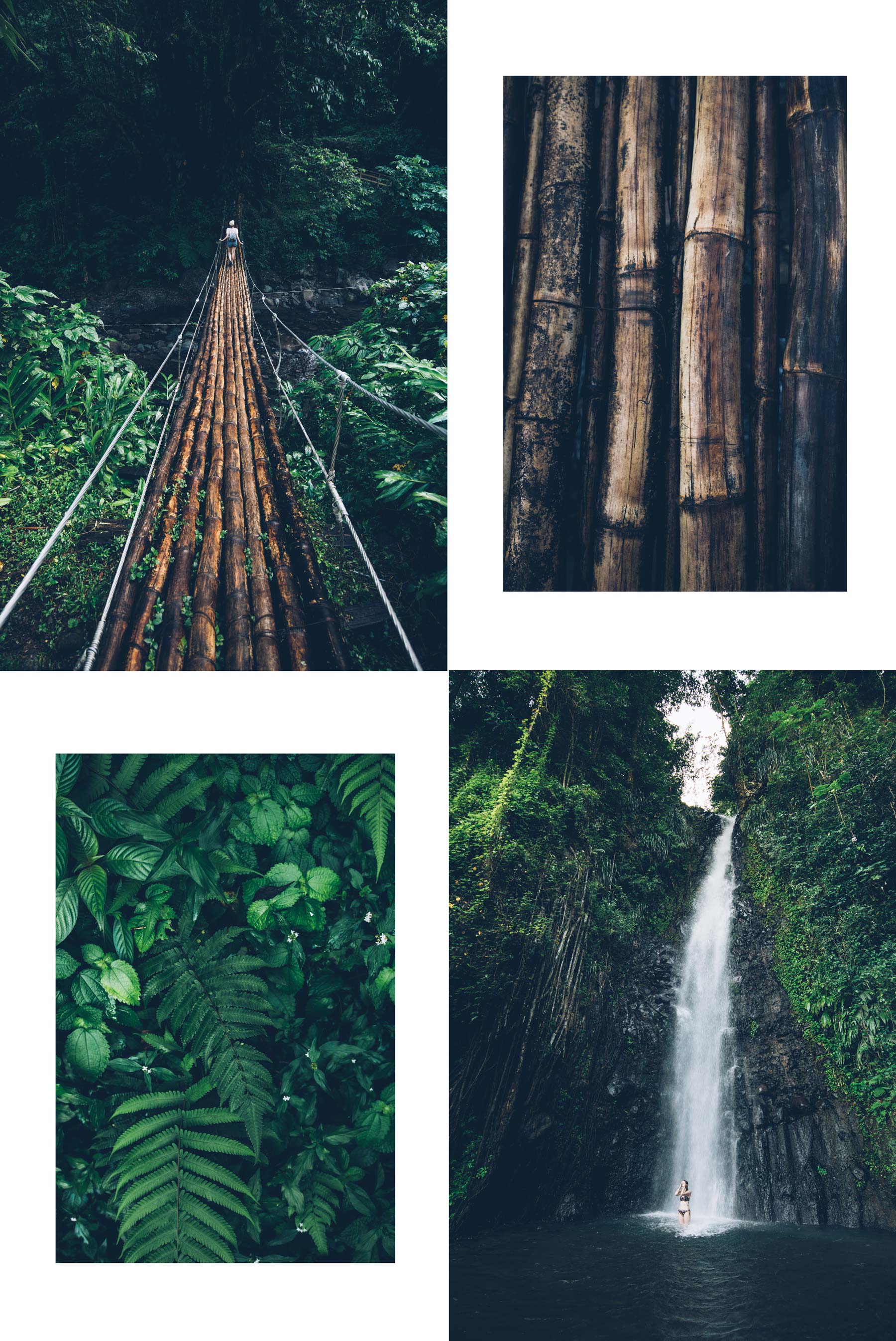 Cascade sur l'ile de St Vincent et les Grenadines, Caraibes