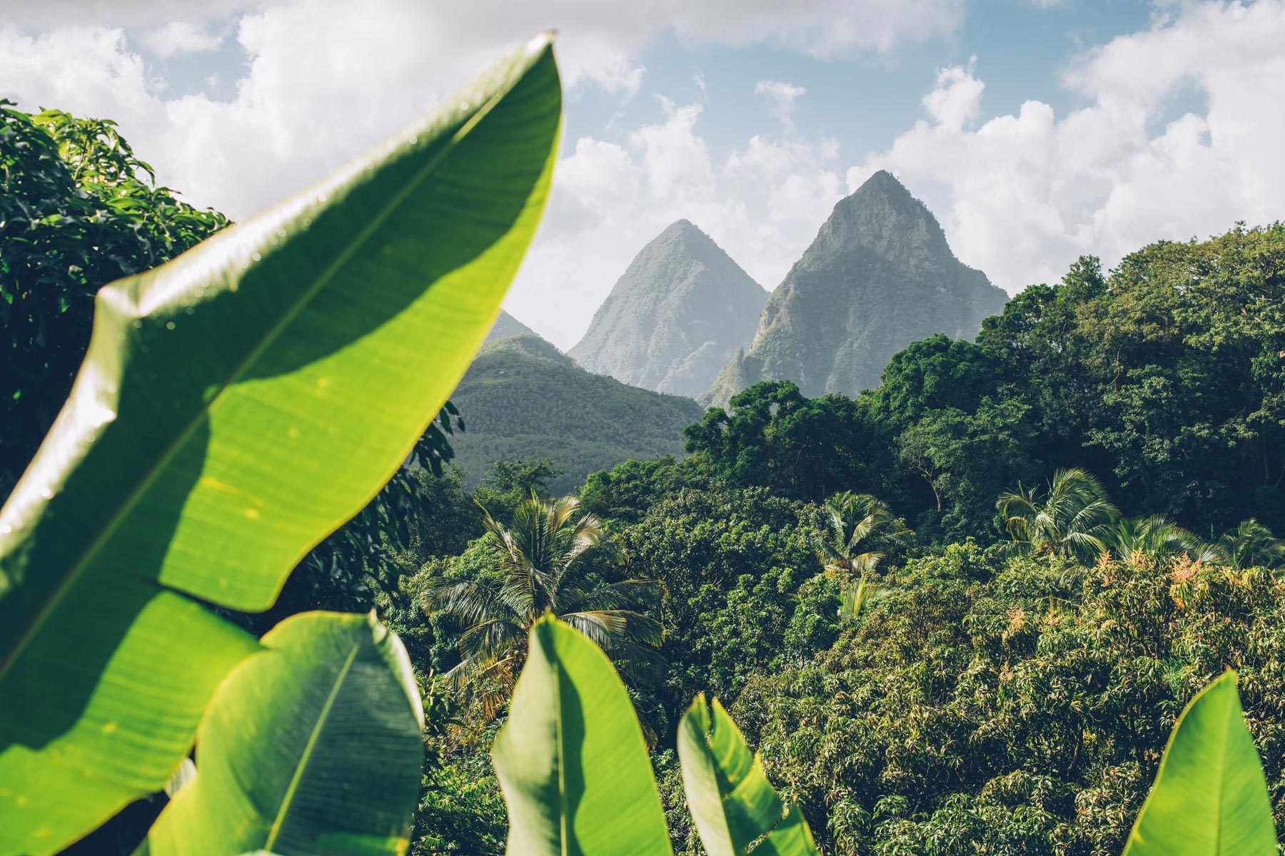 Sainte Lucie, Les pitons