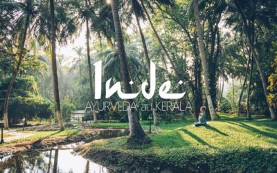 INDE | UNE CURE AYURVEDIQUE AU KERALA, POURQUOI ON EST ACCRO A L’AYURVEDA ?