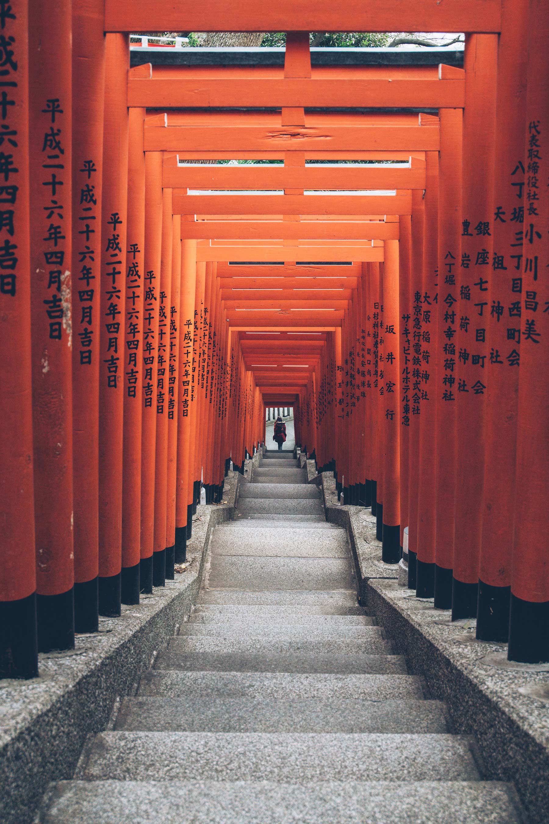 Hie-jinja, Torris (Portes) Orange Tokyo