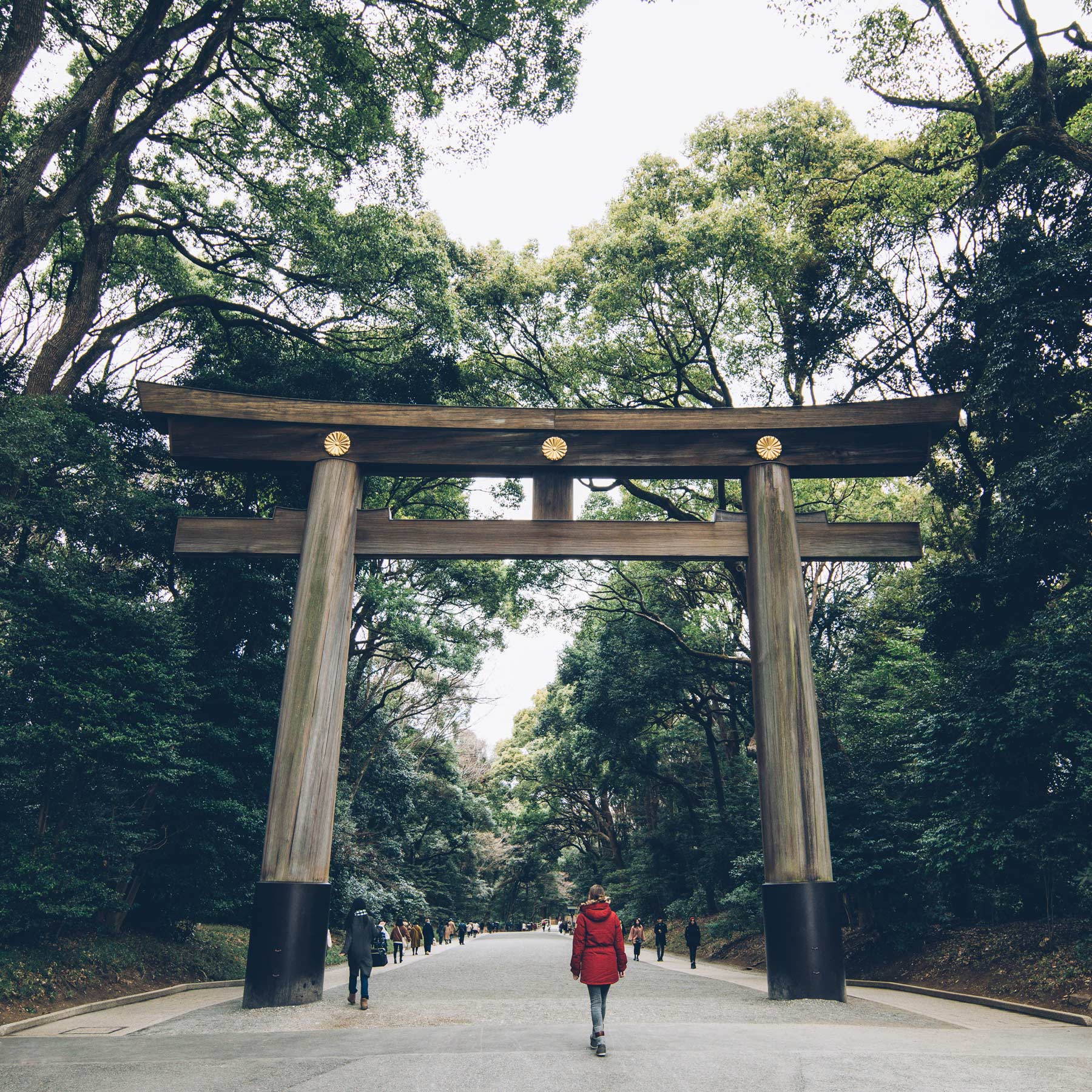 Meiji Jingu dans le quartier d’Harajuku