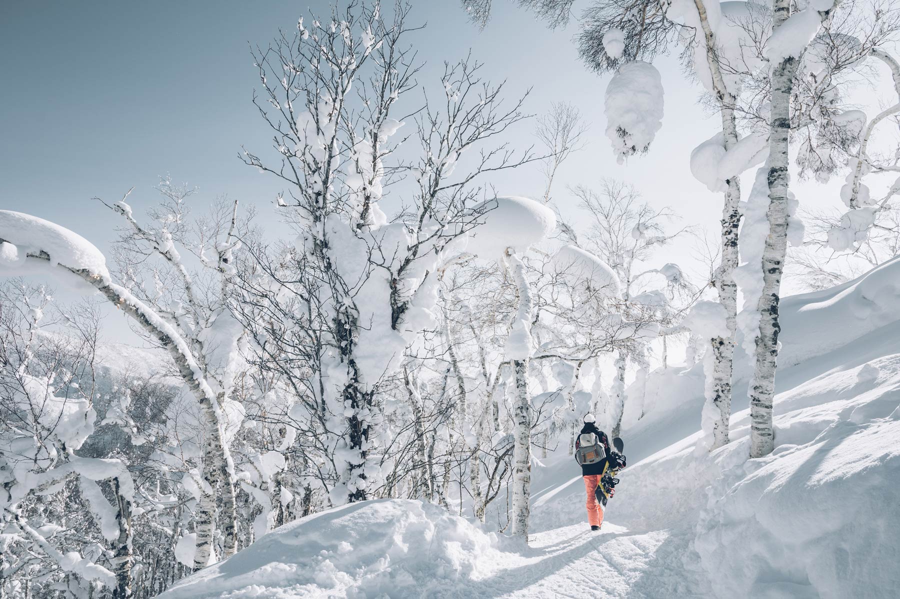 L'hiver au Japon, Hokkaido