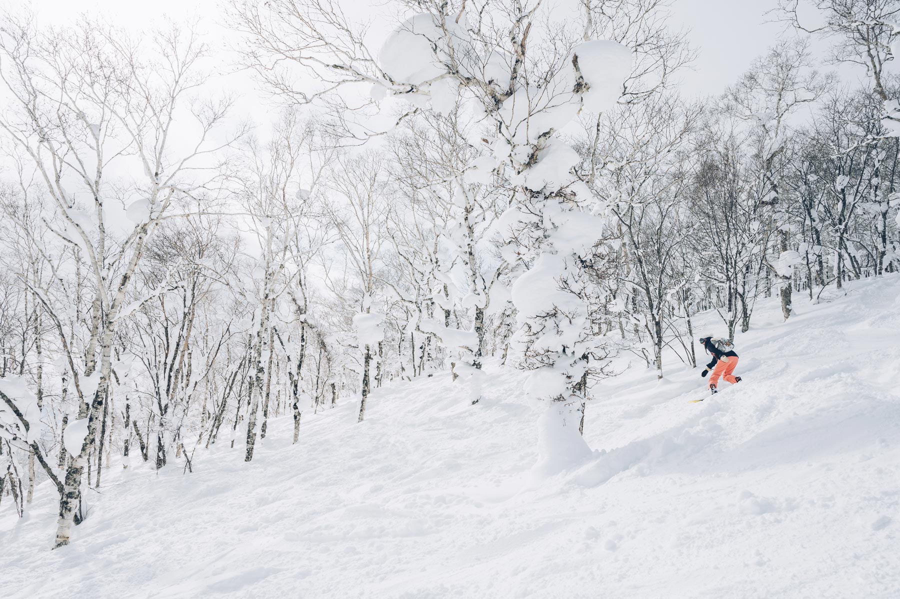 Le neige exceptionnelle du Japon