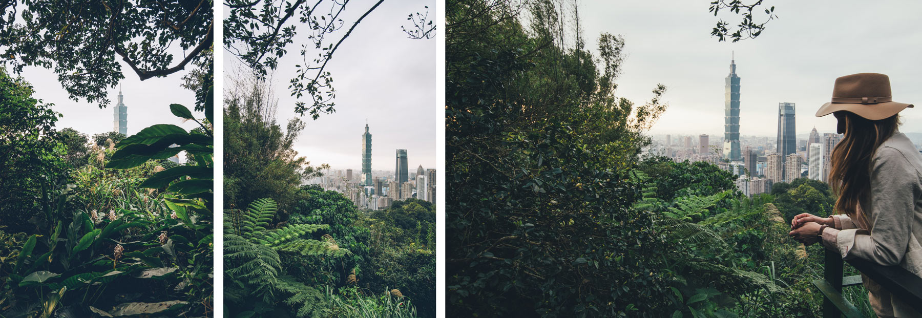 Elephant Mountain, Taiwan