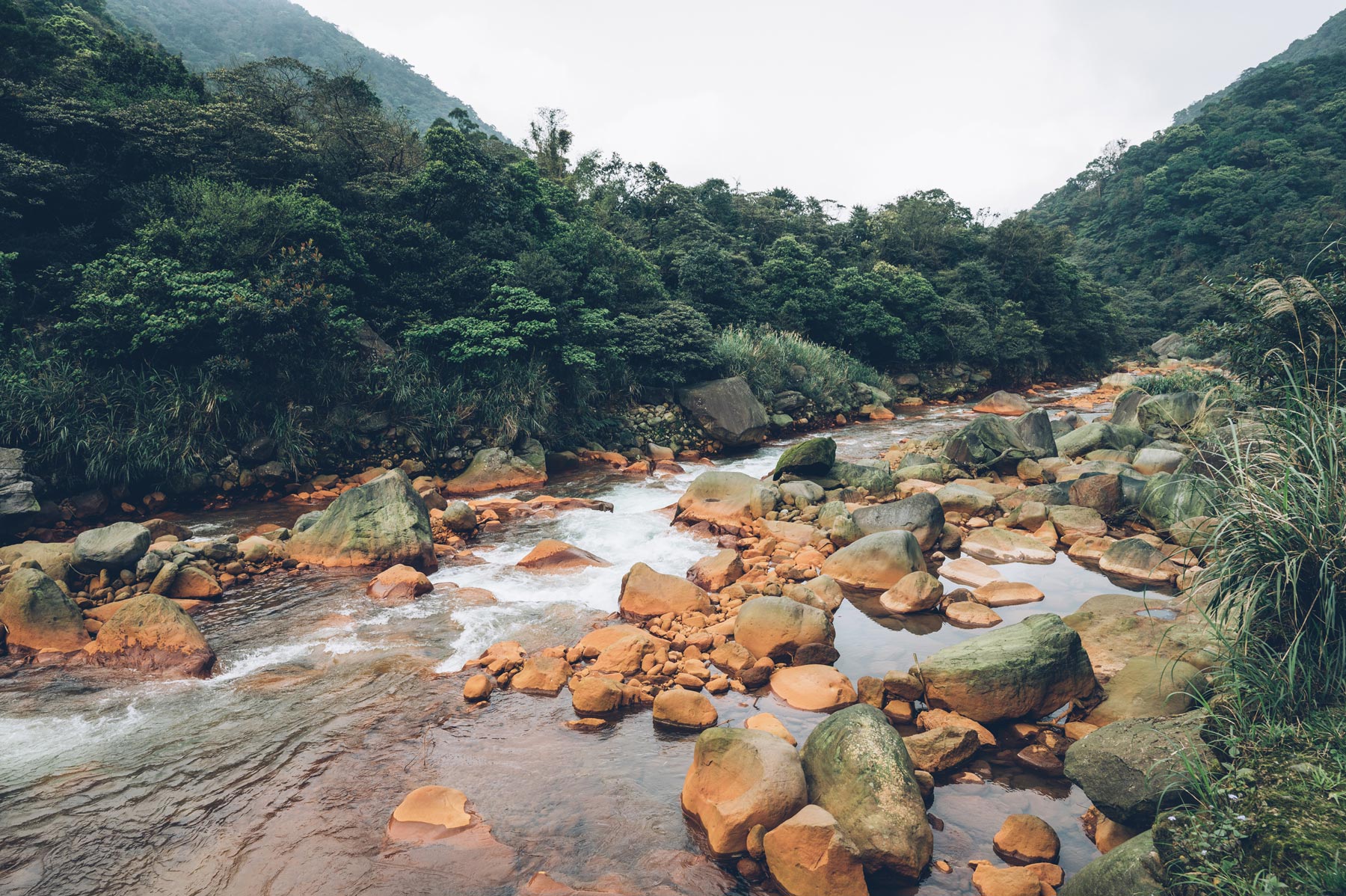 Yangmingshan National Park