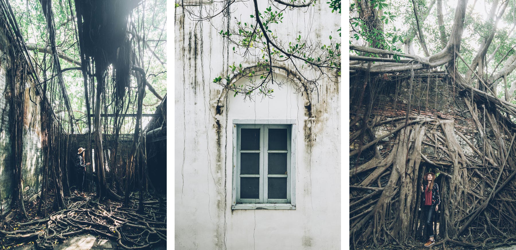 Anping Tree House, Taiwan