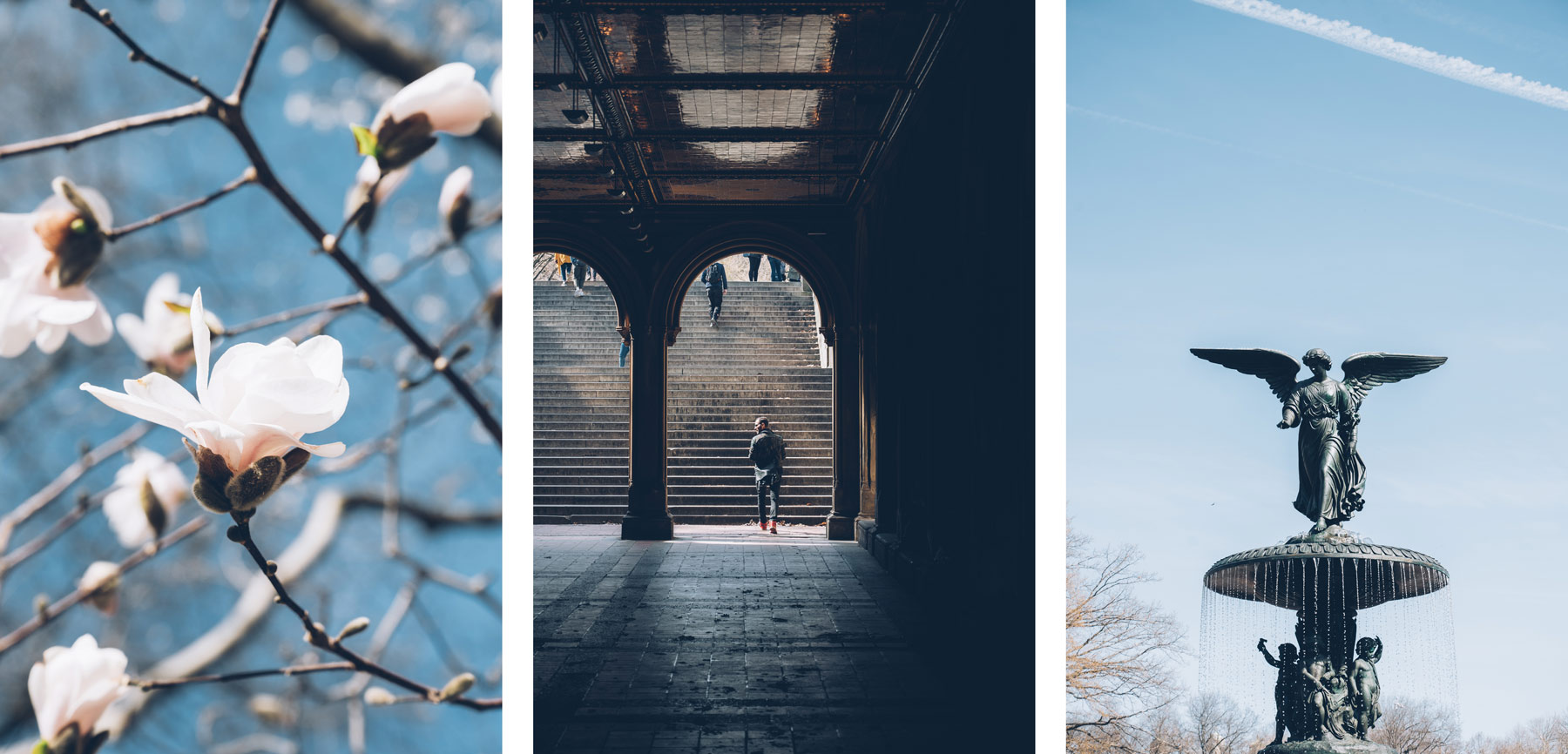 Visite insolite de Central Park avec New York en francais