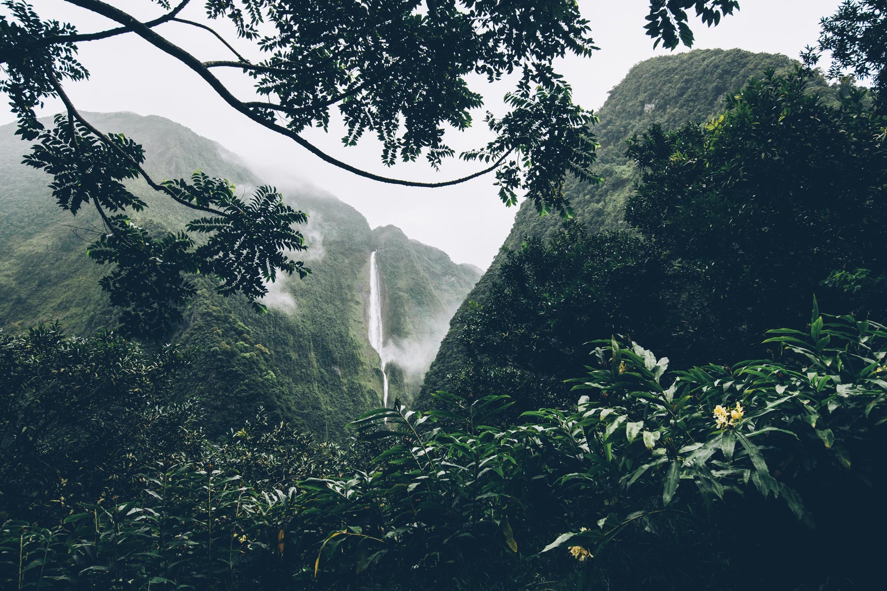 Cascade Blanche, Salazie, Ile de la Réunion