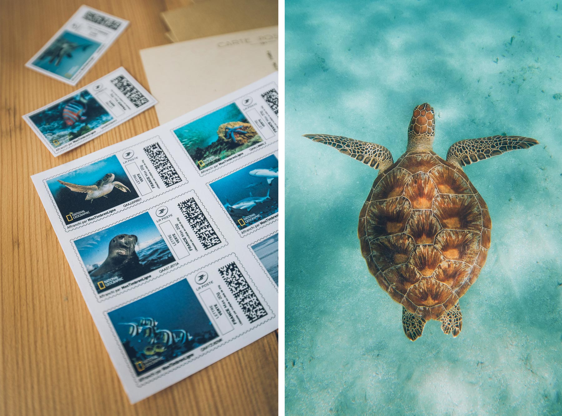 Timbres Océan NatGeo, La Poste