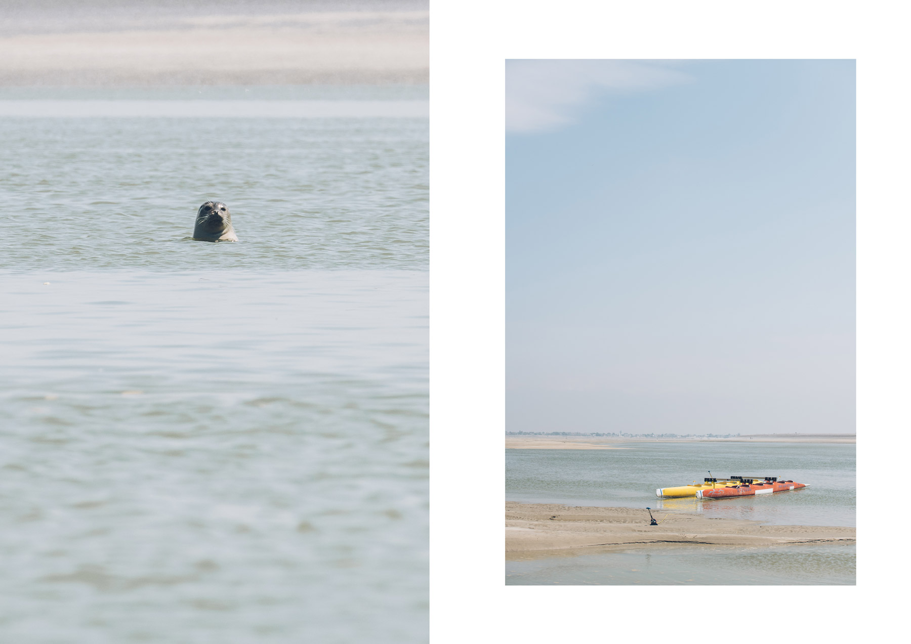 Baie de Somme, sortie en pirogue pour voir les phoques