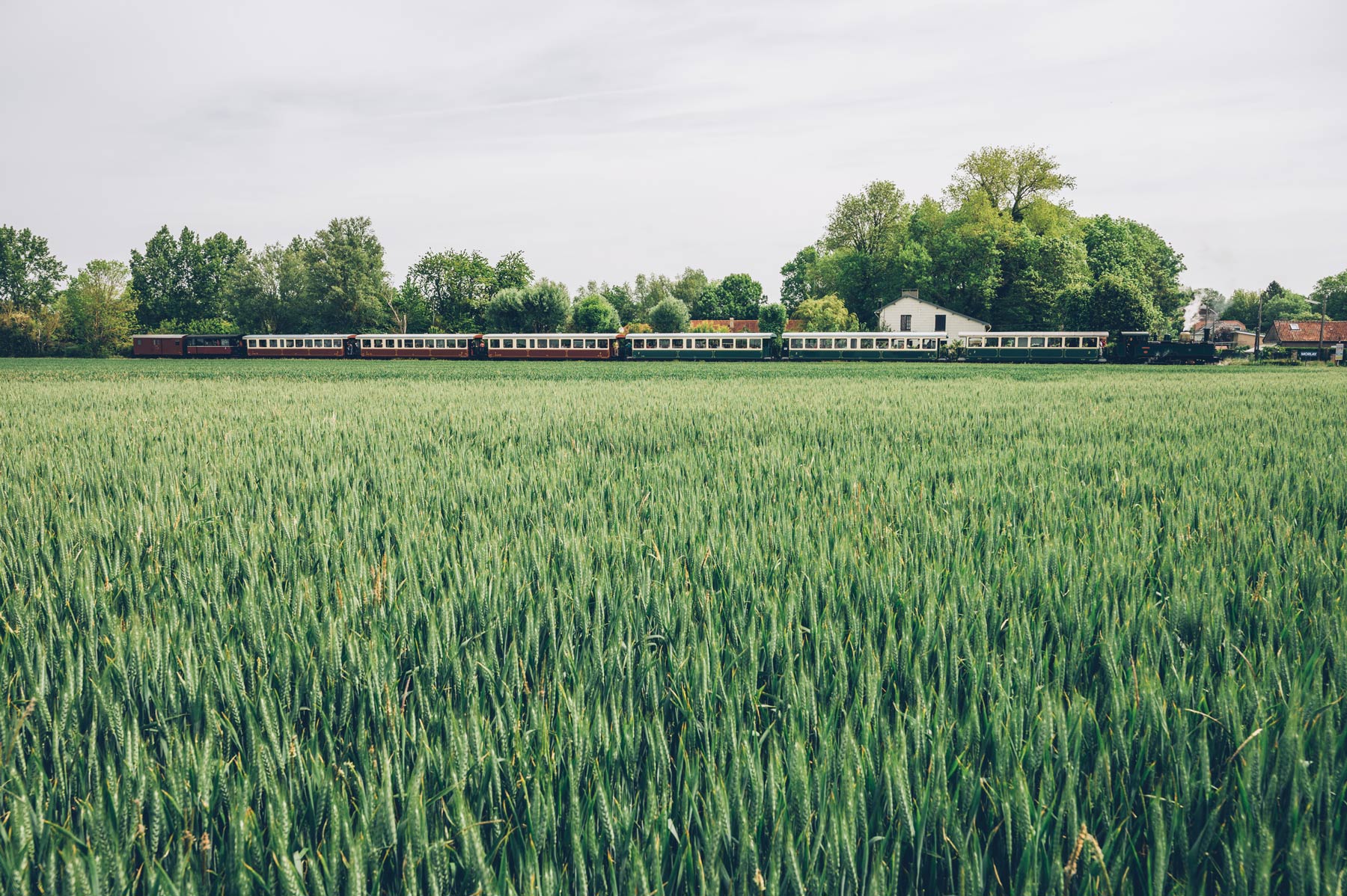 Train à vapeur, Baie de Somme