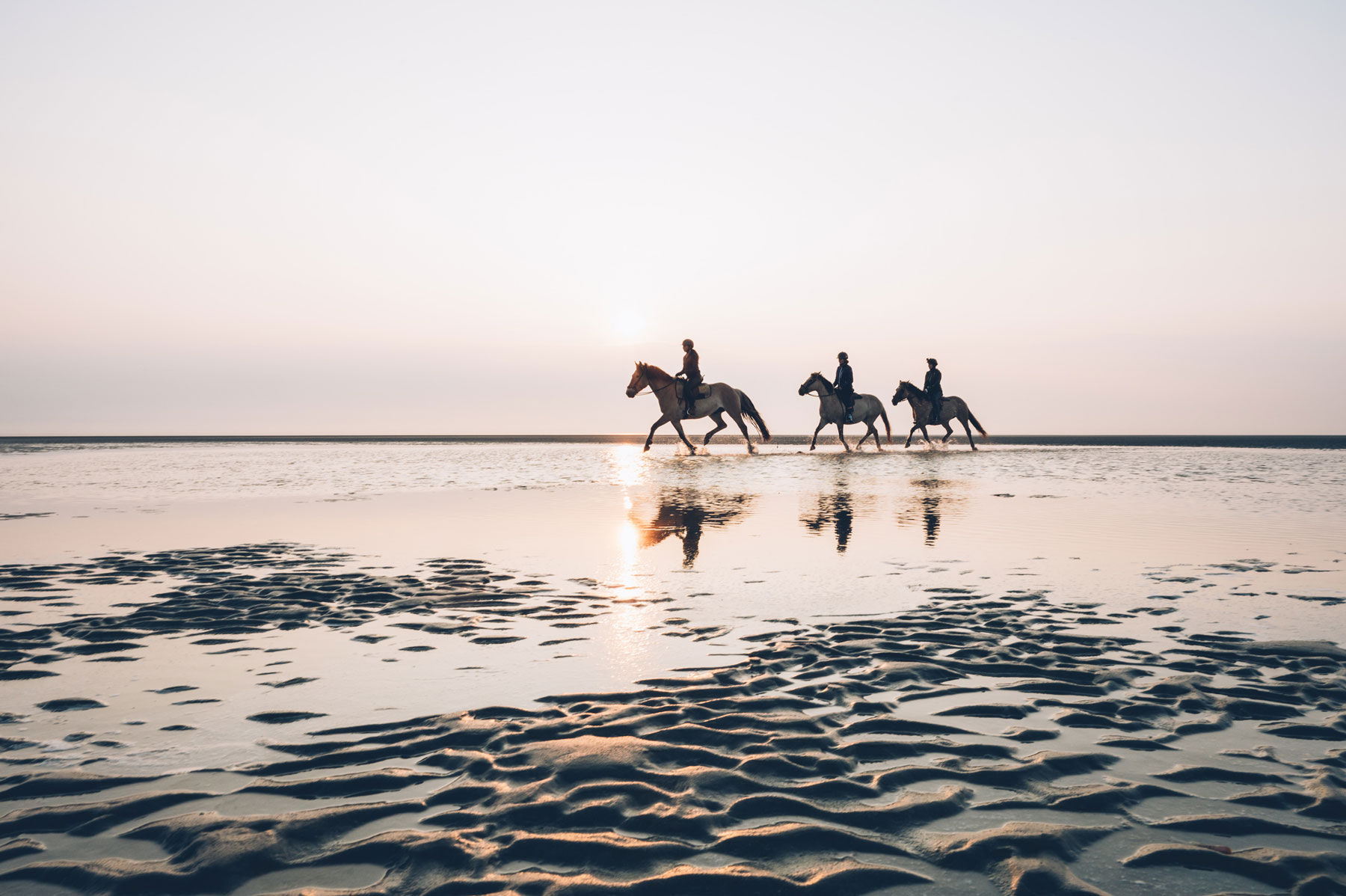 Cheval sur la plage en Baie de Somme