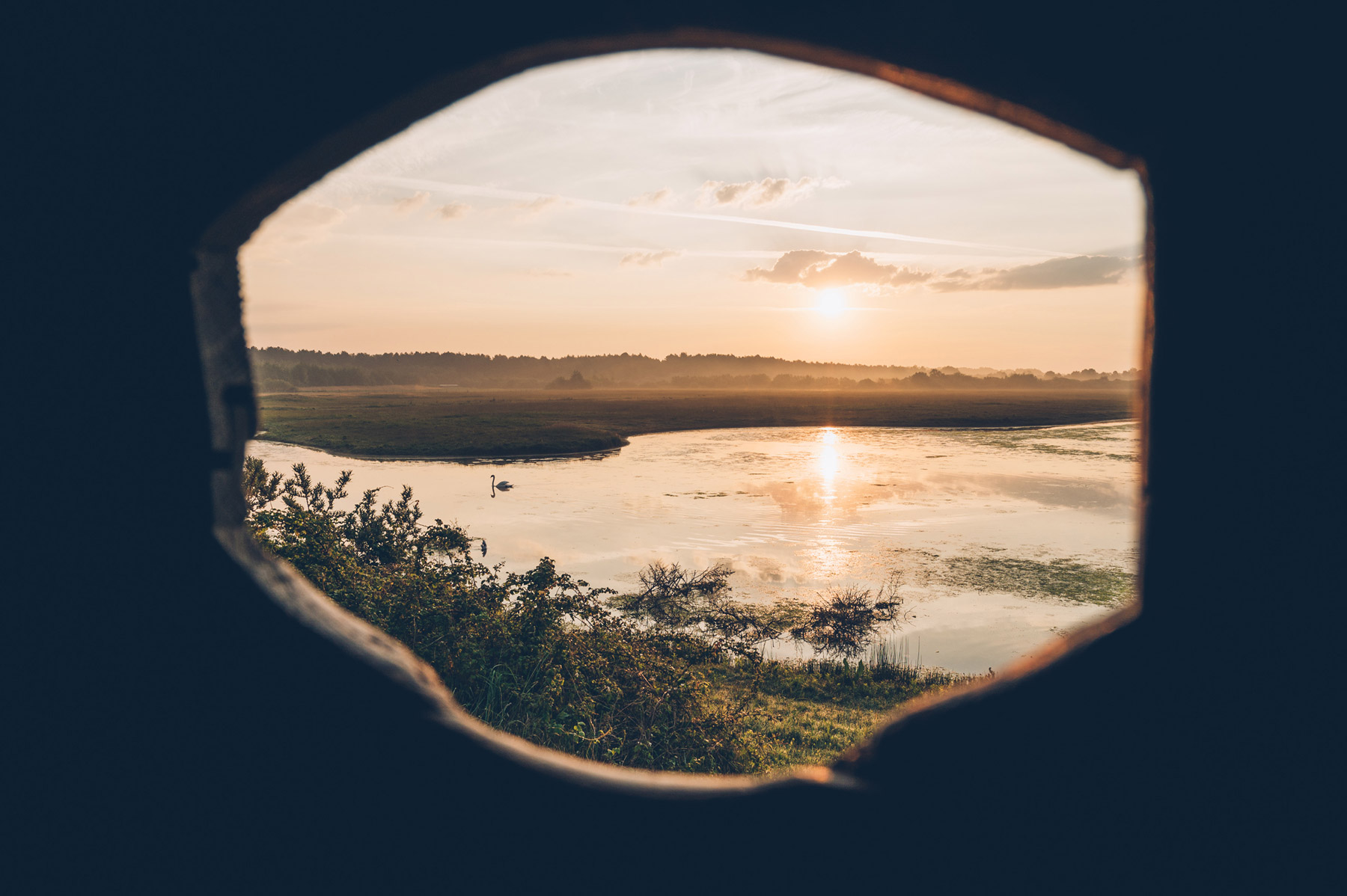 Observation oiseaux en Baie de Somme, Parc du Marquenterre