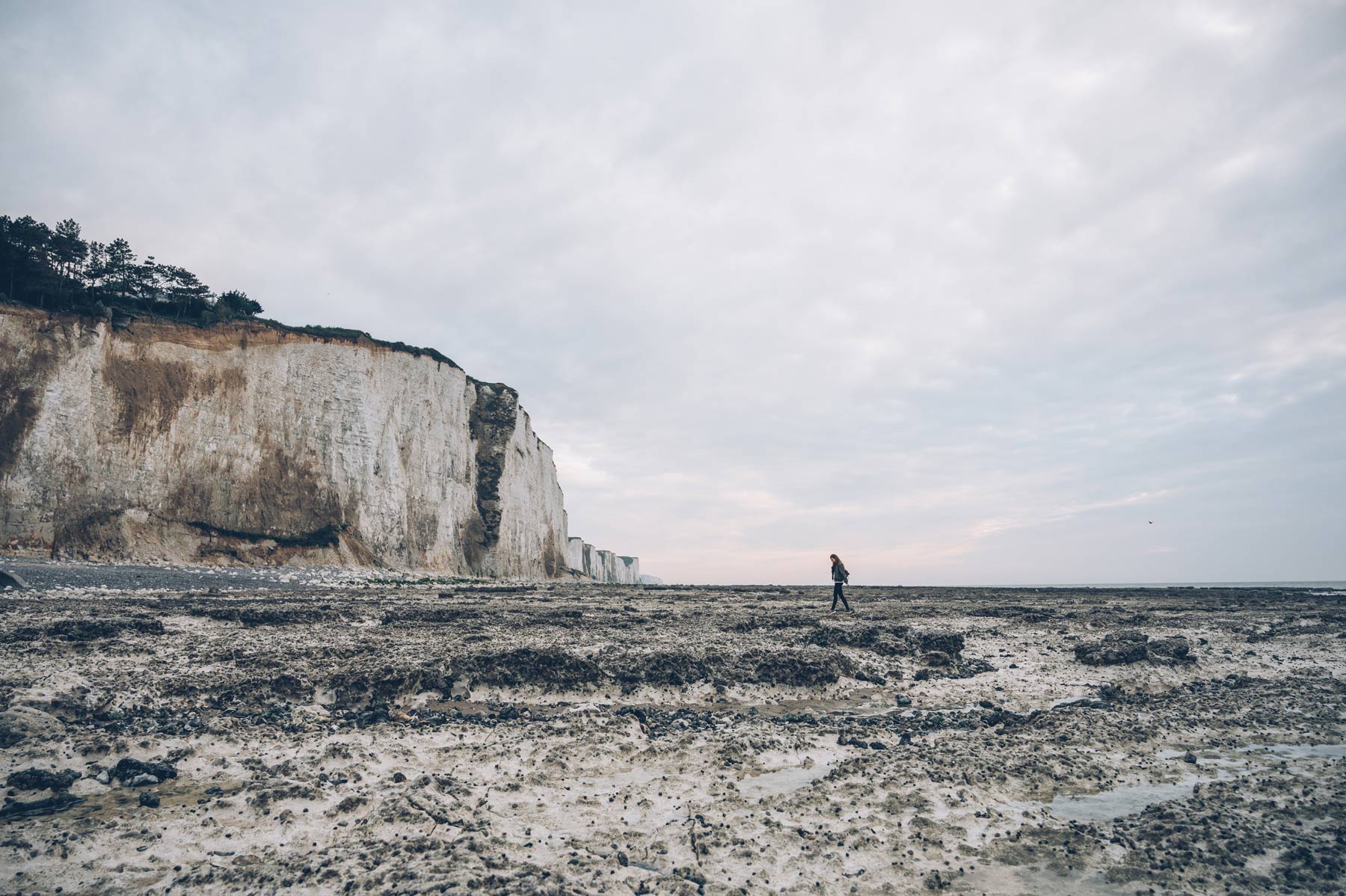 Bois de Cise, Falaises