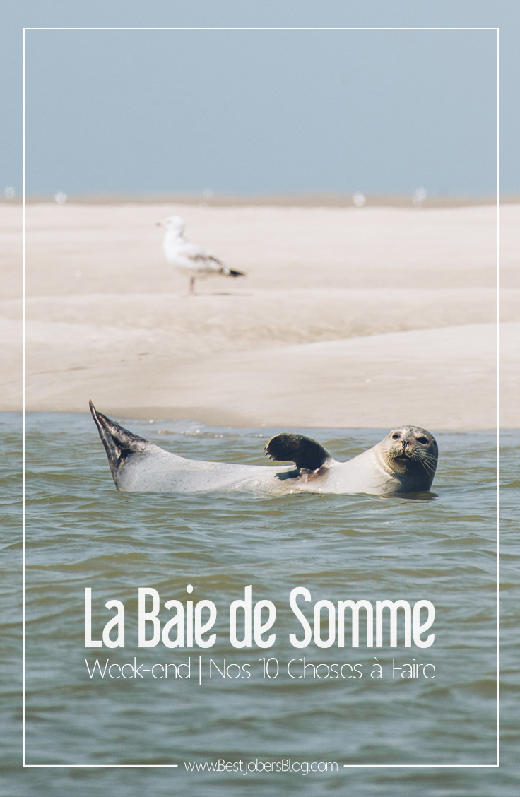 Baie de Somme, 10 choses à faire pour un weekend