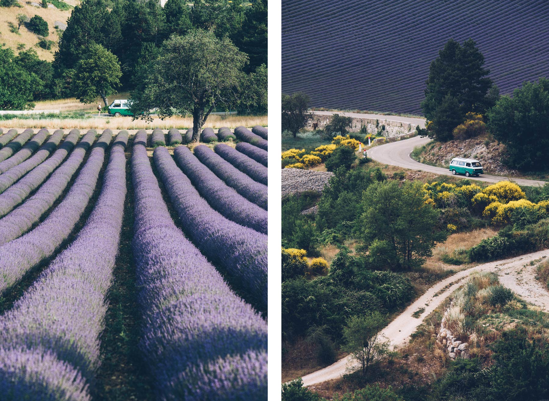 Road Trip dans la lavande