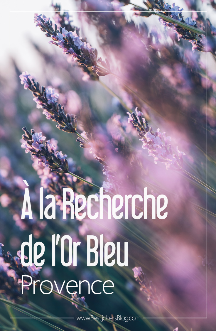 À la recherche de l'or bleu, Provence