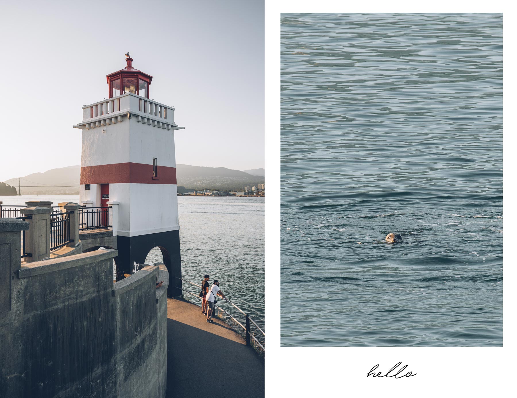 Voir les otaries à Vancouver: Stanley Park