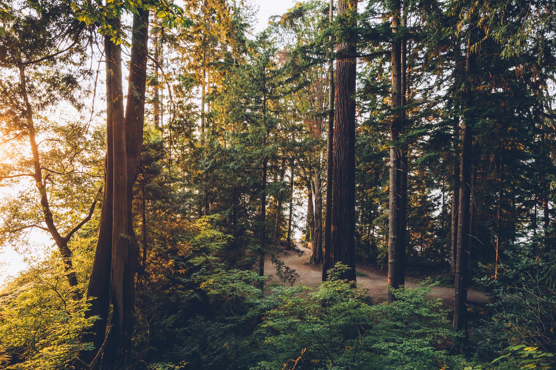 Forêt Stanley Park, Vancouver