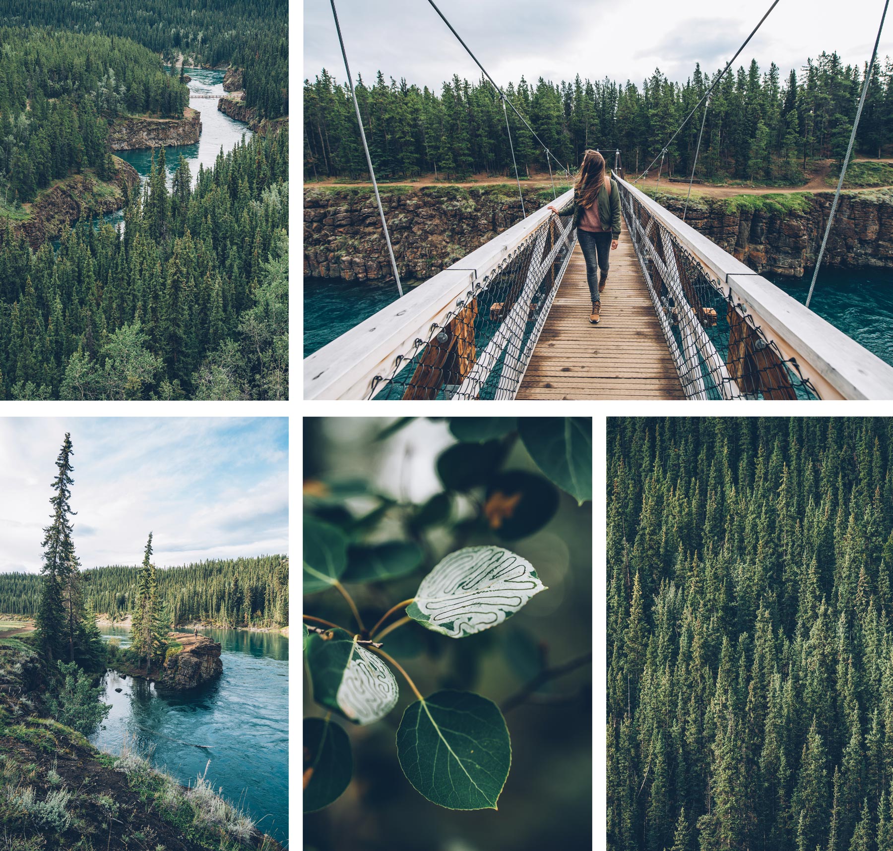 Miles Canyon, Yukon