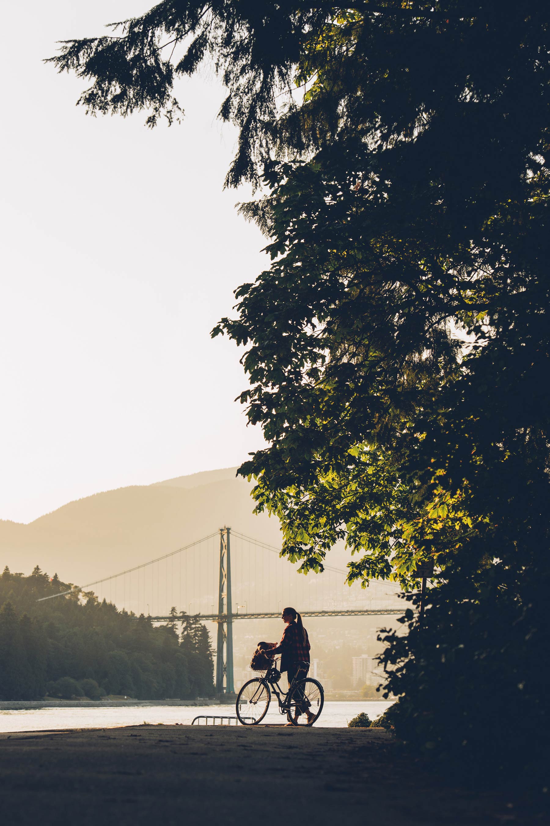 Stanley Park à vélo, nos conseils sur le bog