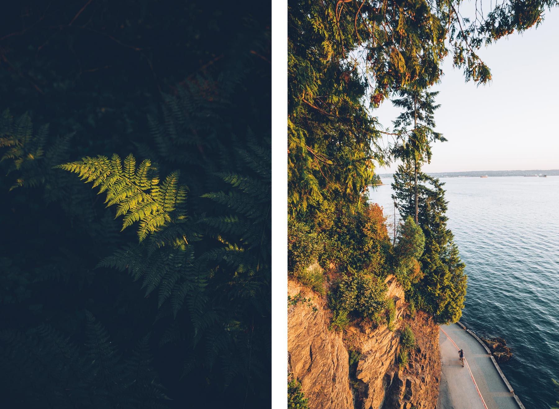 Vancouver blog voyage: Stanley Park