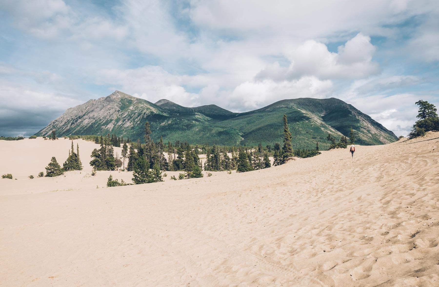 Desert de Carcross, Yukon