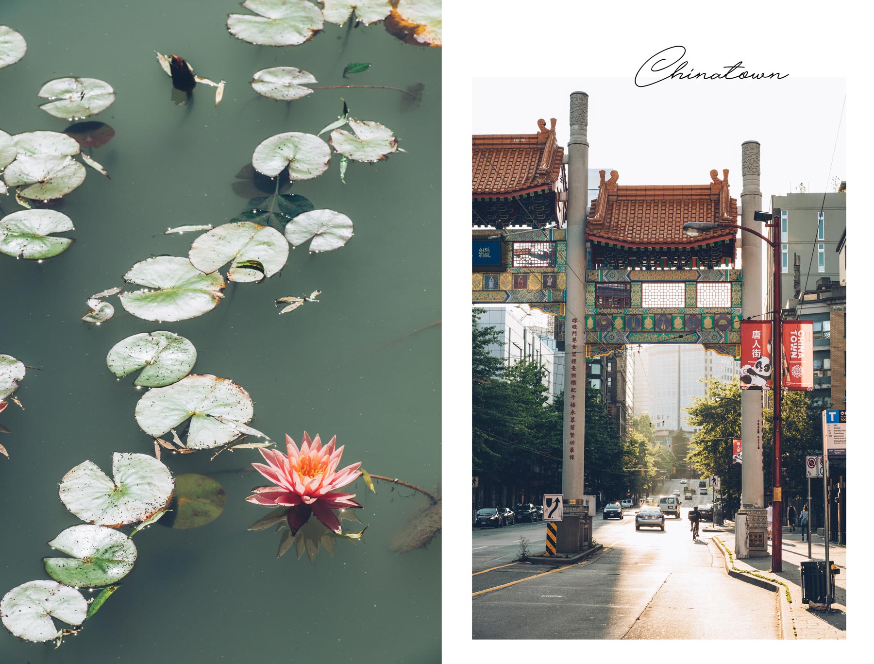 Chinatown, Vancouver