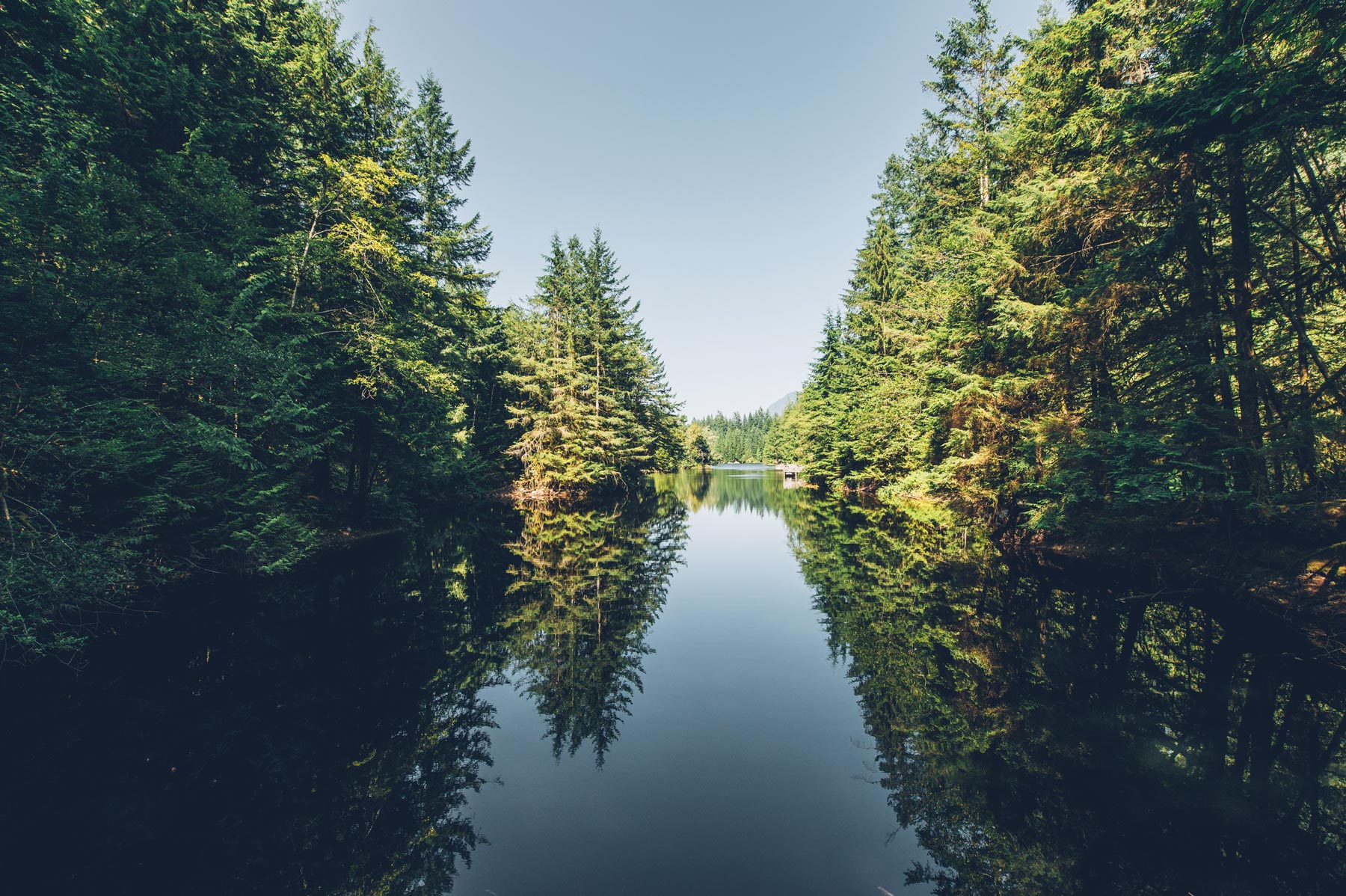 Rando Rice Lake, Lynn Canyon