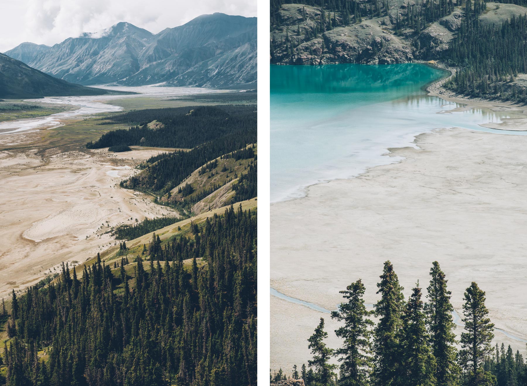 Sheep creek, Kluane, yukon