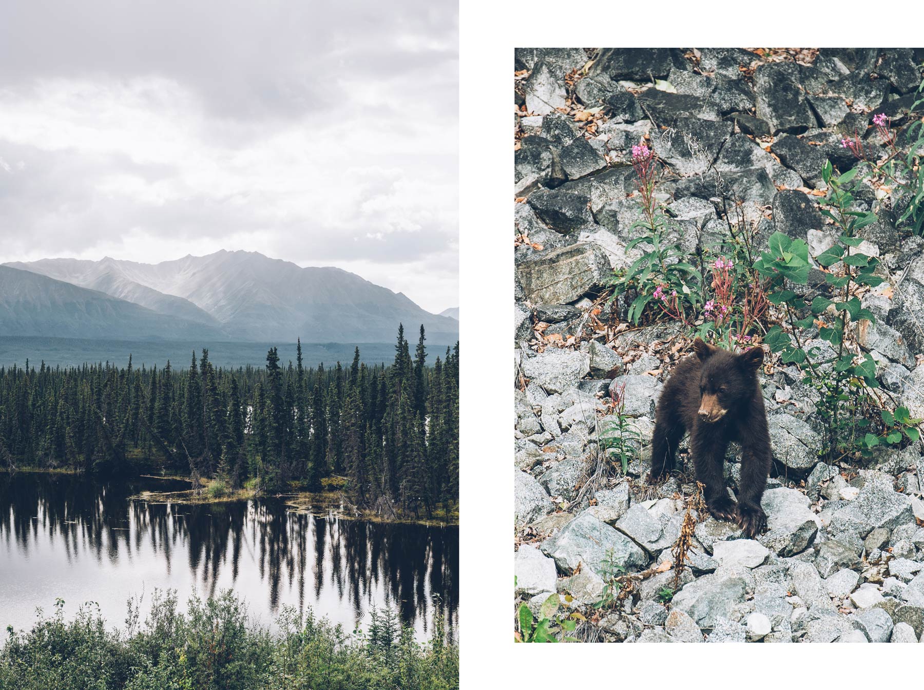 Le plus beau moment du voyage au Yukon