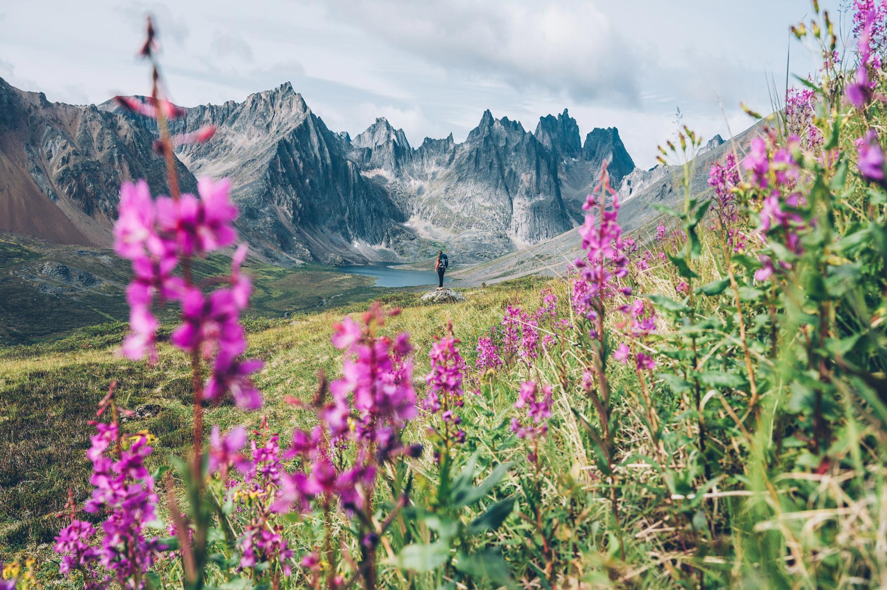 Tombstone Parc, Yukon Canada