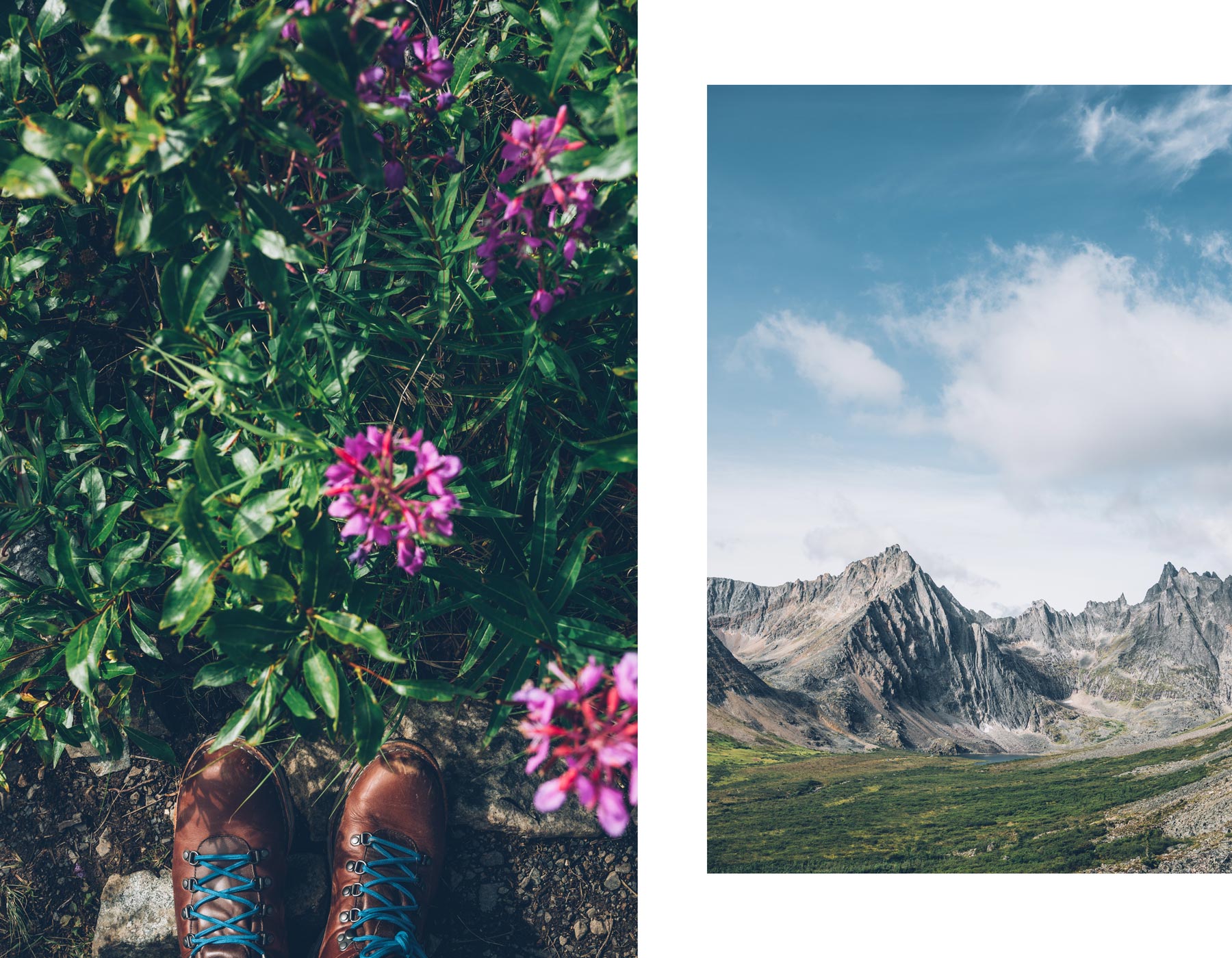 Grizzly Lake Trail, Yukon