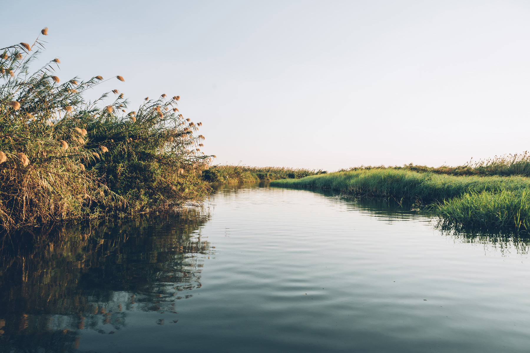 Fleuve Chobe