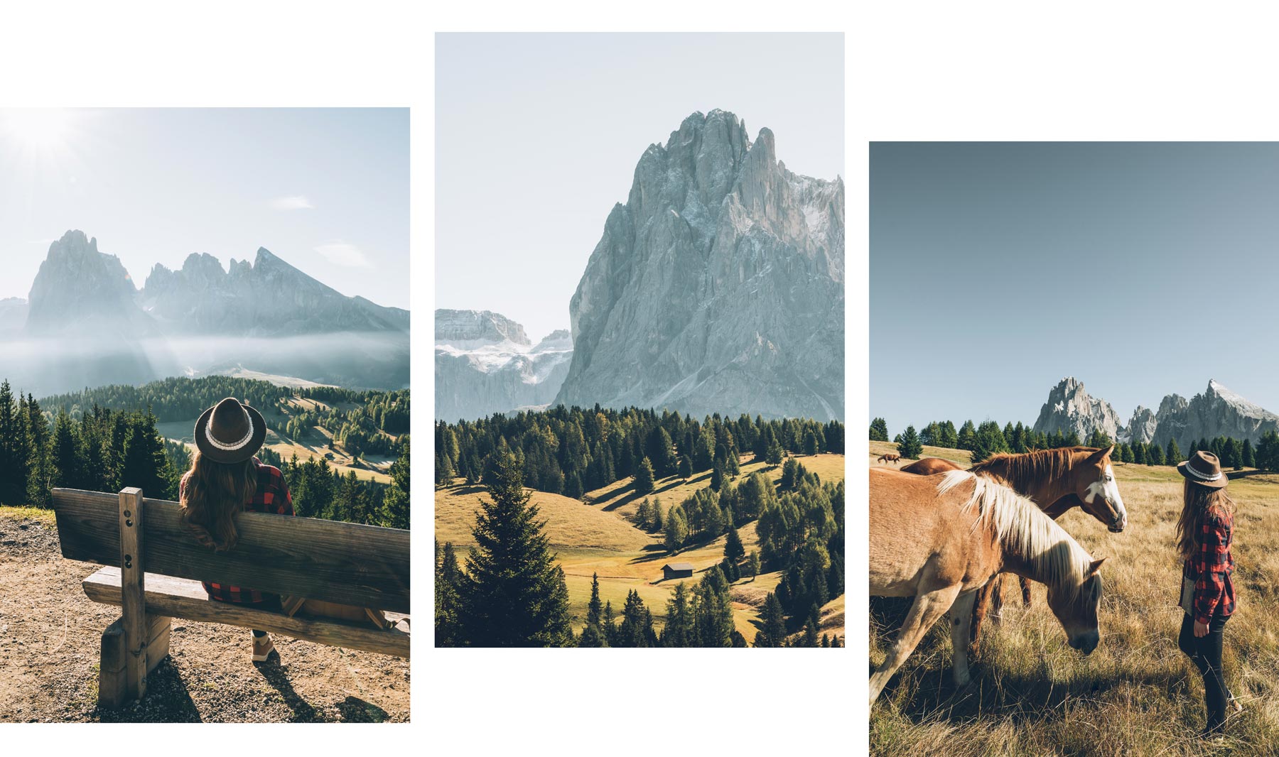 Alpe di Siusi, Dolomites