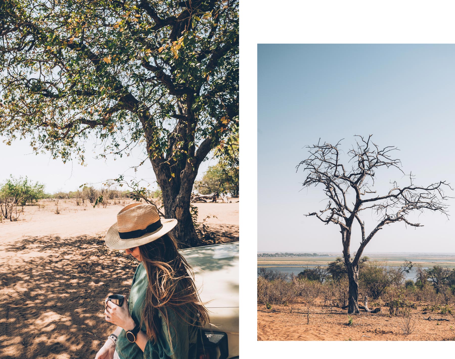 Chobe National Park, Botswana